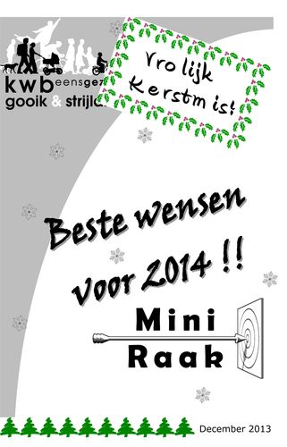 Kaft van Mini Raak 201312